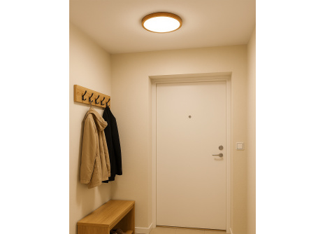 LED sufitowa lampa 3CCT TR-72S - 18W 1850lm ø23x2,5cm Trixline LED sufitowa lampa 3CCT TR-72S - 18W 1850lm ø23x2,5cm Trixline