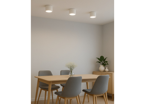 Q-14AD LED sufitowa lampa punktowa 3CCT biała QTEC