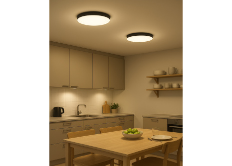 Q-221CP Lampa sufitowa LED FLUME 10W 850lm 4000K ø22,5cm/okrągła czarna QTEC Q-221CP Lampa sufitowa LED FLUME 10W 850lm 4000K ø22,5cm/okrągła czarna QTEC