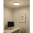 LED sufitowa lampa 3CCT TR-74S - 24W 2500lm ø30x2,5cm Trixline
