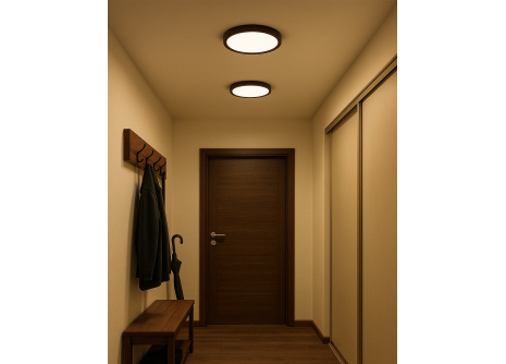 LED sufitowa lampa 3CCT TR-77S - 24W 2500lm ø30x2,5cm Trixline LED sufitowa lampa 3CCT TR-77S - 24W 2500lm ø30x2,5cm Trixline