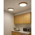 LED sufitowa lampa 3CCT TR-76S - 24W 2500lm ø30x2,5cm Trixline