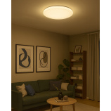 LED sufitowa lampa TR-602C - IPOLY 60W 5700lm ø58cm CCT + pilot Trixline LED sufitowa lampa TR-602C - IPOLY 60W 5700lm ø58cm CCT + pilot Trixline